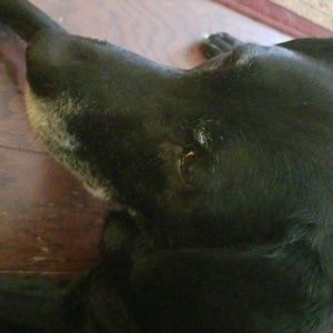 Meet your Posher, Aspen